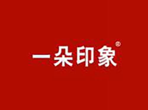 一朵印象