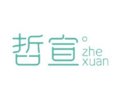 哲宣zhexuan