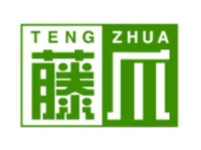 藤爪TENGZHUA