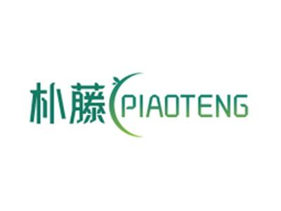 朴藤PIAOTENG