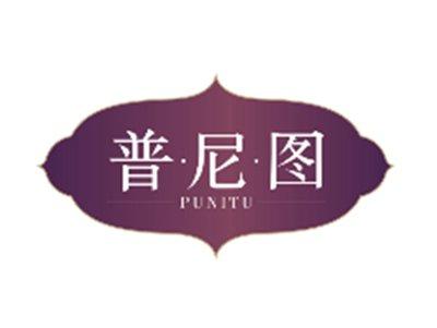 普尼图PUNITU