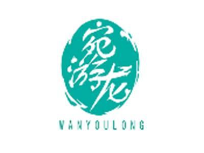 宛游龙WANYOULONG