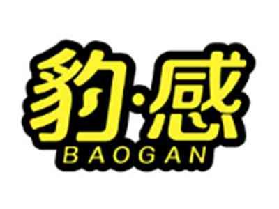 豹感BAOGAN