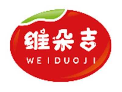 维朵吉WEIDUOJI