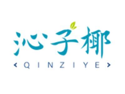 沁子椰QINZIYE