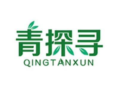 青探寻QINGTANXUN