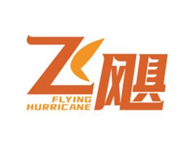 飞飓FLYINGHURRICANE