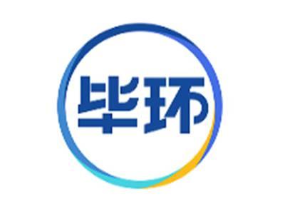 毕环