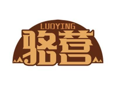 骆营LUOYING