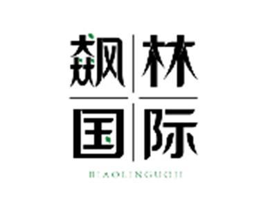 飙林国际BIAOLINGUOJI