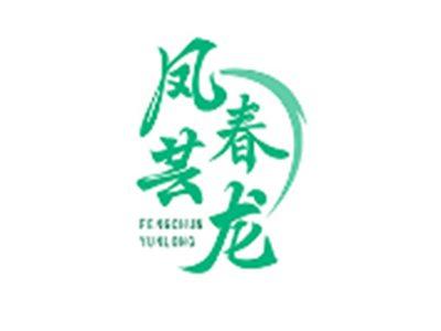 凤春芸龙FENGCHUNYUNLONG