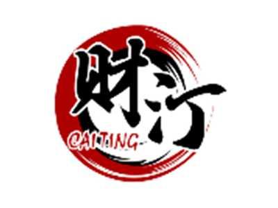 财汀CAITING