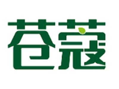 苍蔻