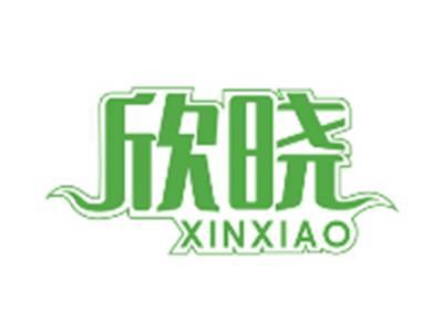 欣晓XINXIAO
