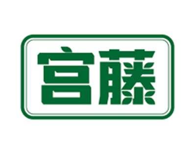宫藤