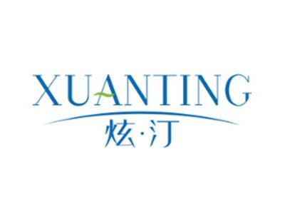 炫汀XUANTING