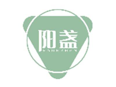 阳盏YANGZHAN