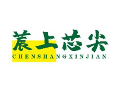 莀上芯尖CHENSHANGXINJIAN