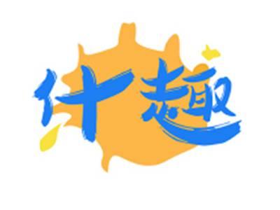 什趣