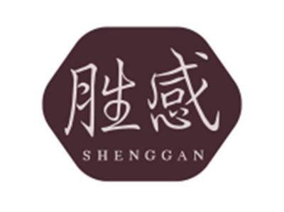 胜感SHENGGAN