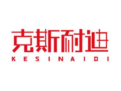 克斯耐迪KESINAIDI