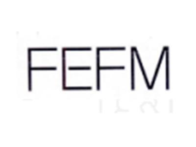 FEFM