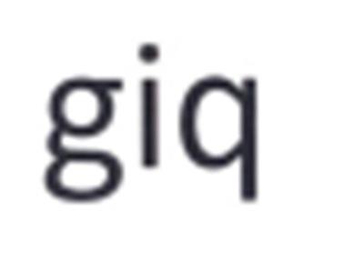GIQ