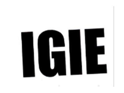 IGIE