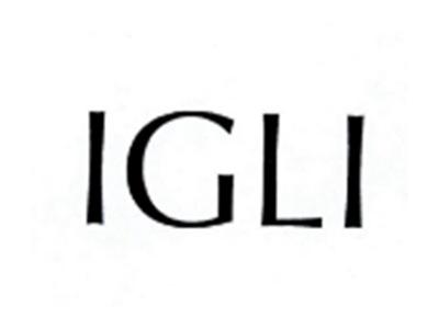 IGMI