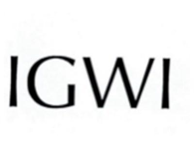 IGWI