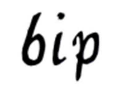 BIP
