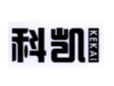 胖明星