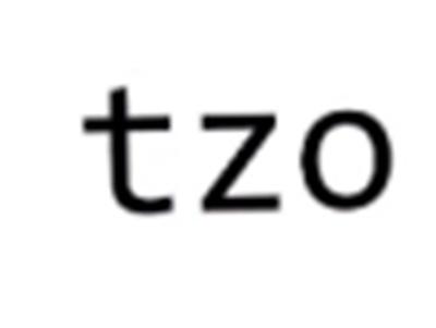 TZO