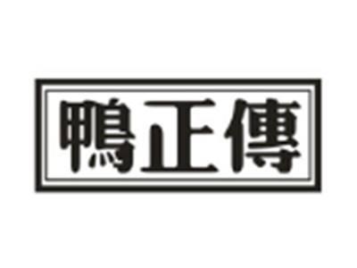 鸭正传