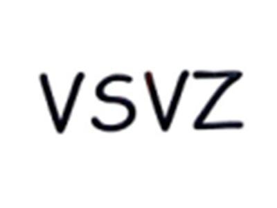 VSVZ