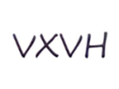 VXVH
