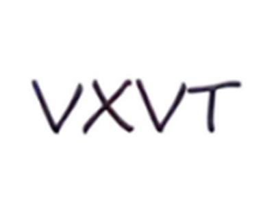 VXVT