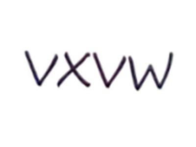 VXVW