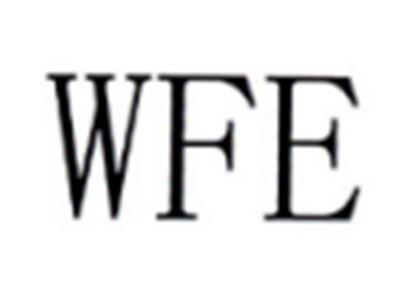 WFE