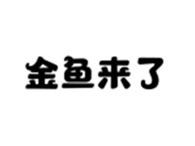金鱼来了