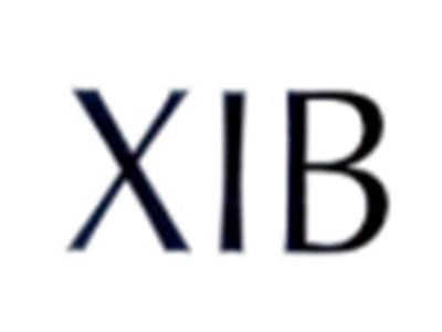 XIB
