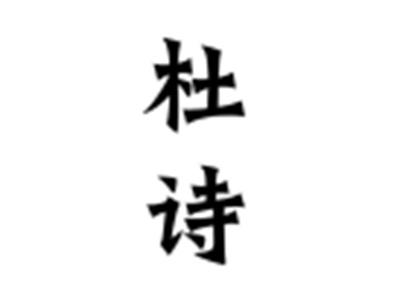 杜诗