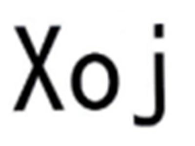 XOJ