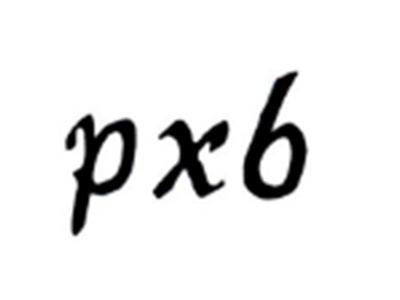 PXB
