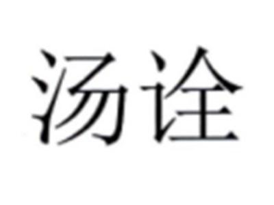 汤诠