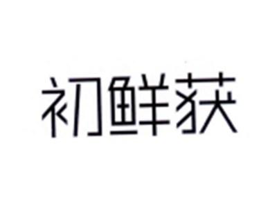 初鲜获
