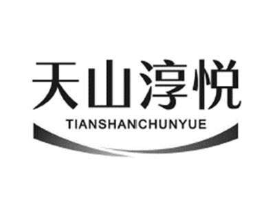 天山淳悦