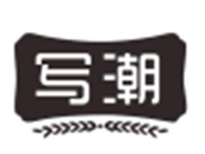 写潮