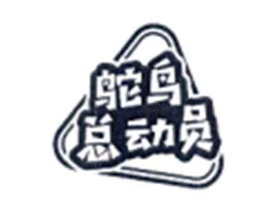 鸵鸟总动员