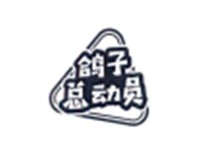 鸽子总动员